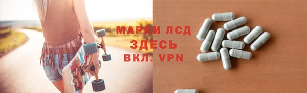 ГАЛЛЮЦИНОГЕННЫЕ ГРИБЫ Аркадак